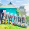 nuha hairzen